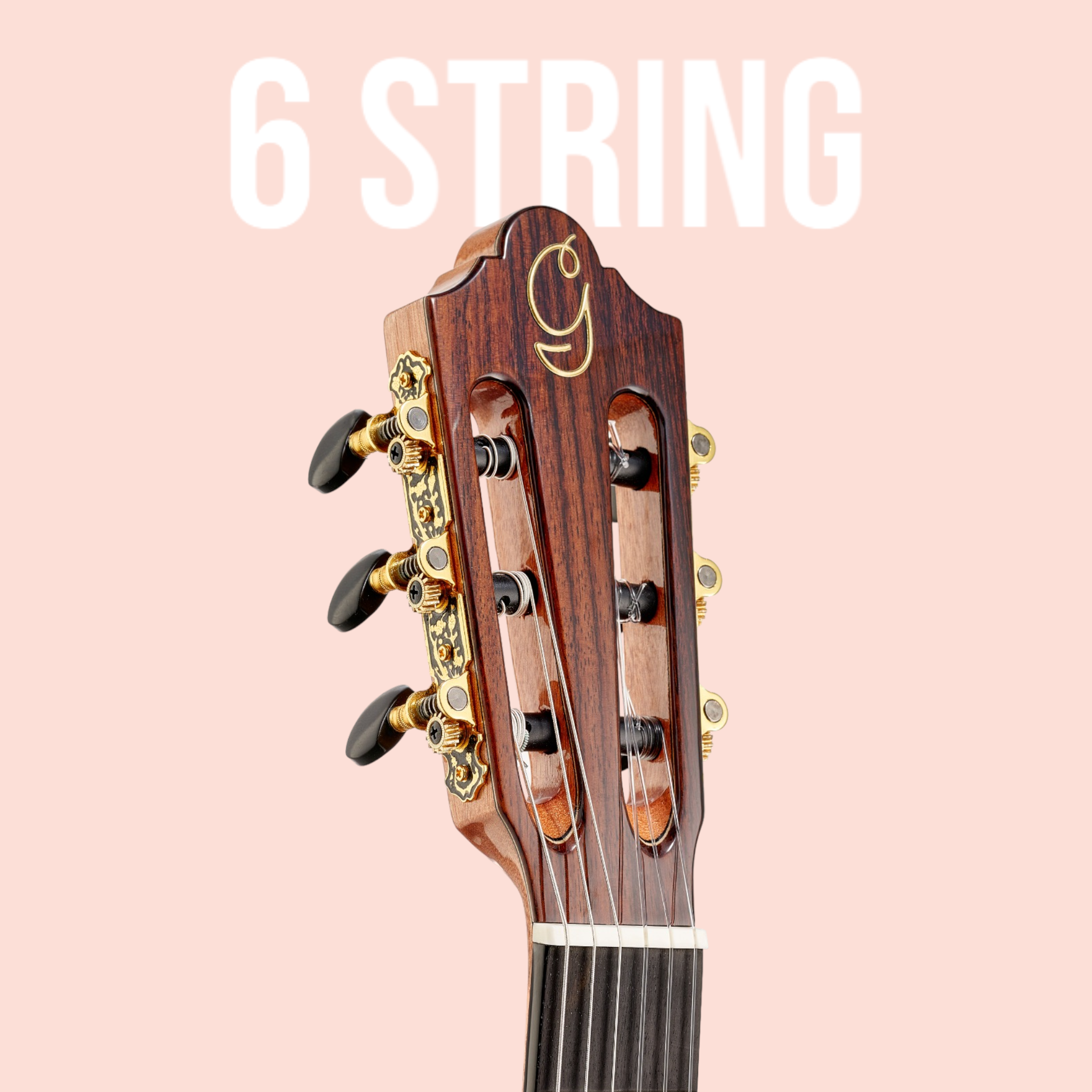 6 String Guitars