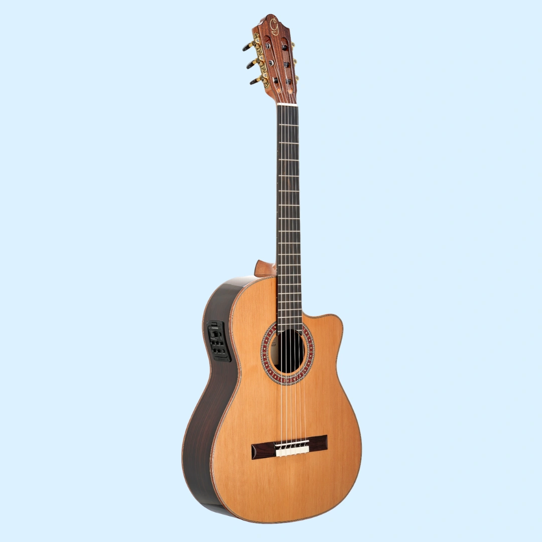 Gayetana Hiraldo H54 - Classical Acoustic Electric with a Hybrid Neck and FIshman System