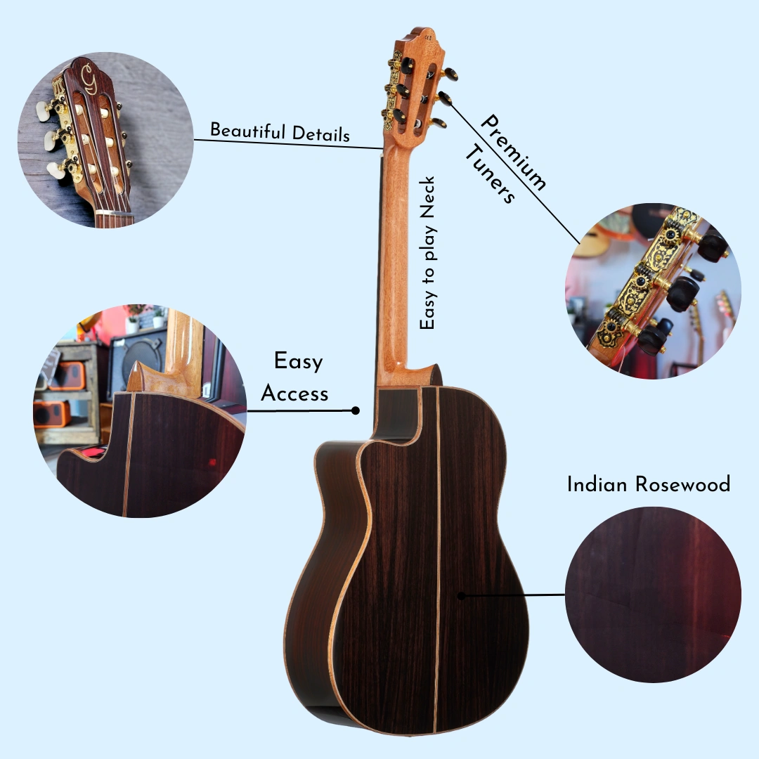 Gayetana Hiraldo H54 - Classical Acoustic Electric with a Hybrid Neck and FIshman System